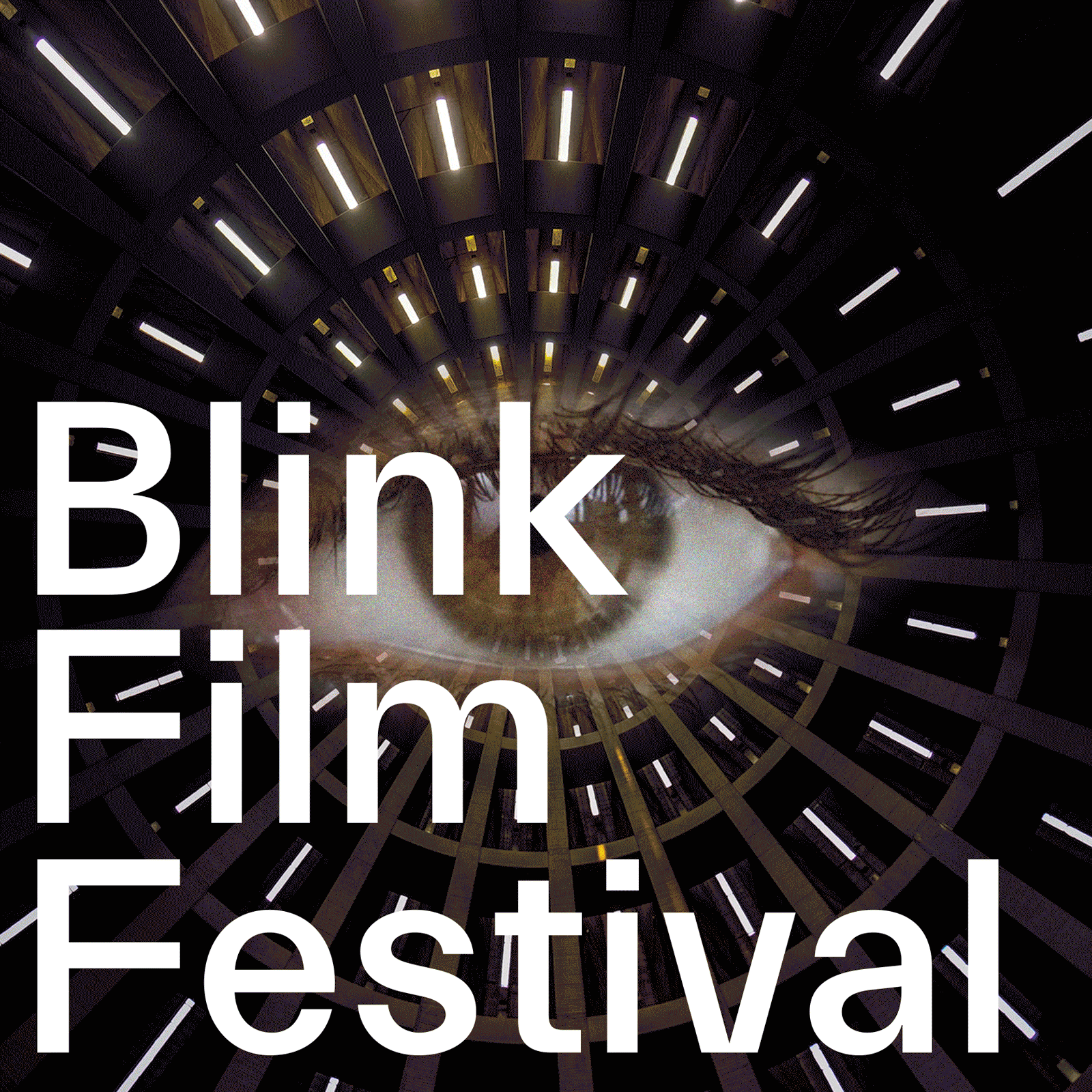 Blink-digital-call (1)